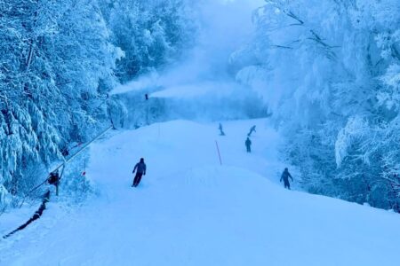 People skiing on a snow-covered slope at West Mountain, surrounded by frosty, snow-laden trees in the inviting Ski Resort.